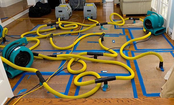 Professional Burst Pipe Water Damage technician working in Marlton, MD